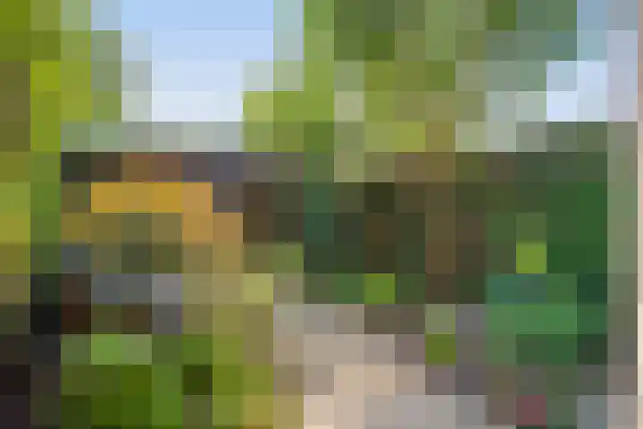 Boeroehof 12 Utrecht thumbnail 8