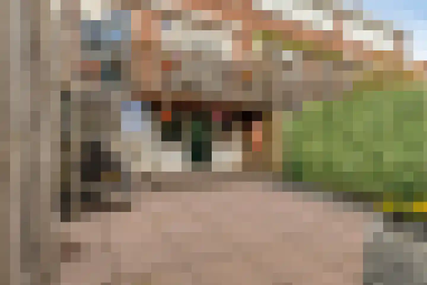 Boeroestraat 10 Dordrecht thumbnail 17