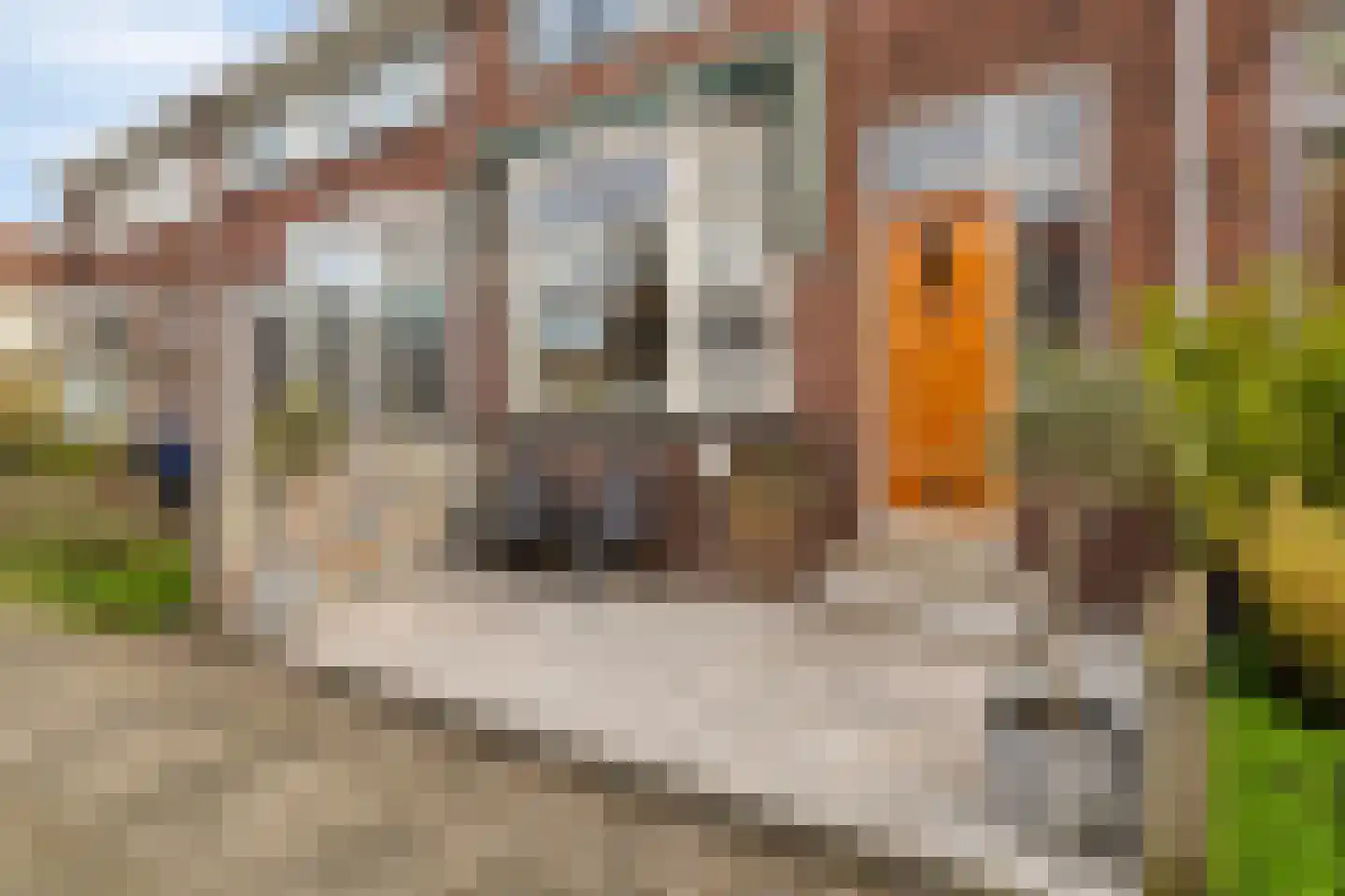 Boeroestraat 10 Dordrecht thumbnail 7