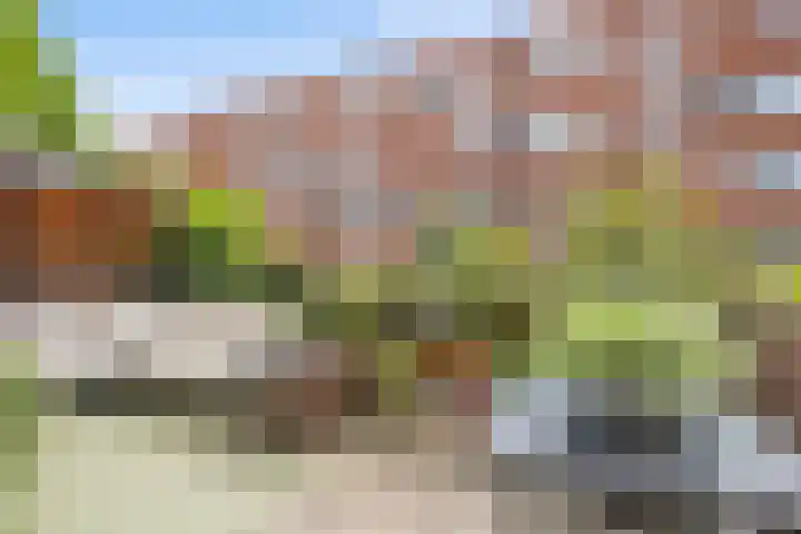 Boeroestraat 109 Amsterdam thumbnail 12