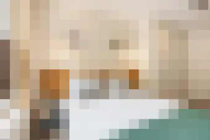 Boeroestraat 109 Amsterdam thumbnail 20