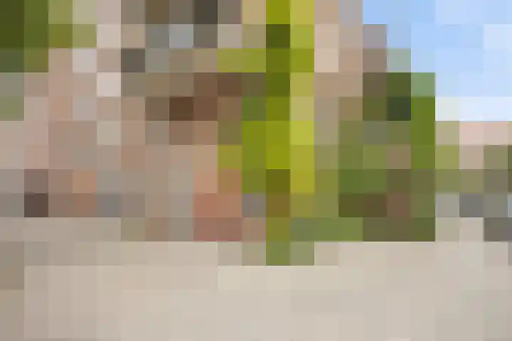 Boeroestraat 109 Amsterdam thumbnail 31