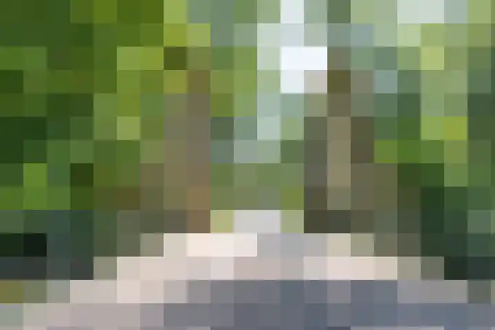 Boeroestraat 109 Amsterdam thumbnail 34
