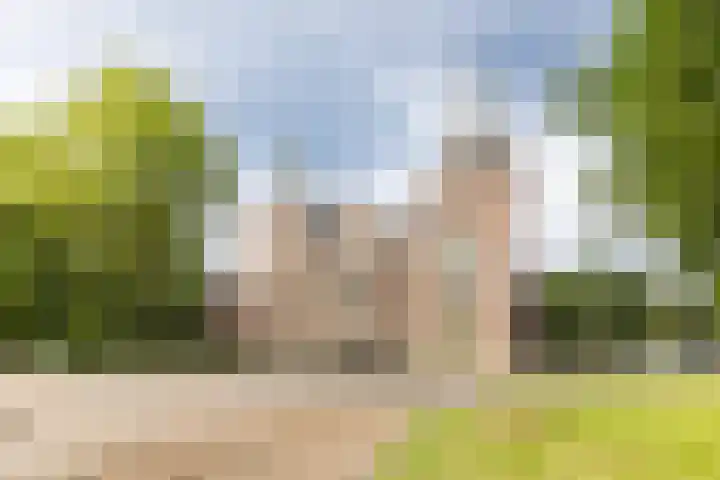 Boeroestraat 109 Amsterdam thumbnail 38