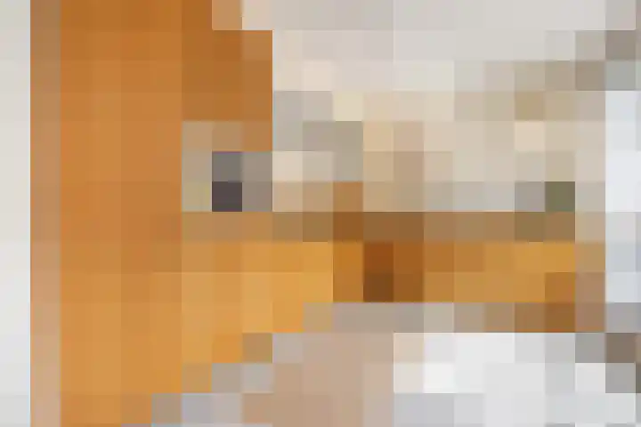 Boeroestraat 109 Amsterdam thumbnail 7