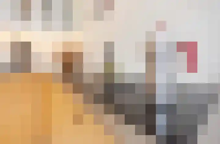 Boeroestraat 109 Amsterdam thumbnail 9