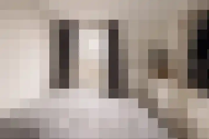 Boeroestraat 16 Amsterdam thumbnail 13