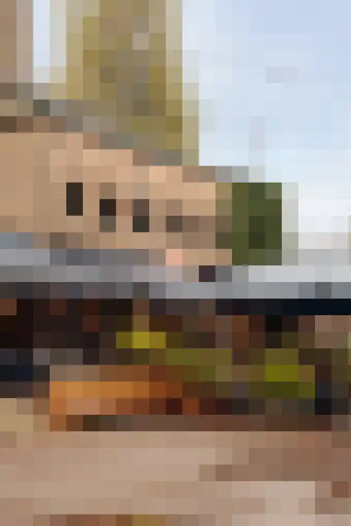 Boeroestraat 16 Amsterdam thumbnail 18