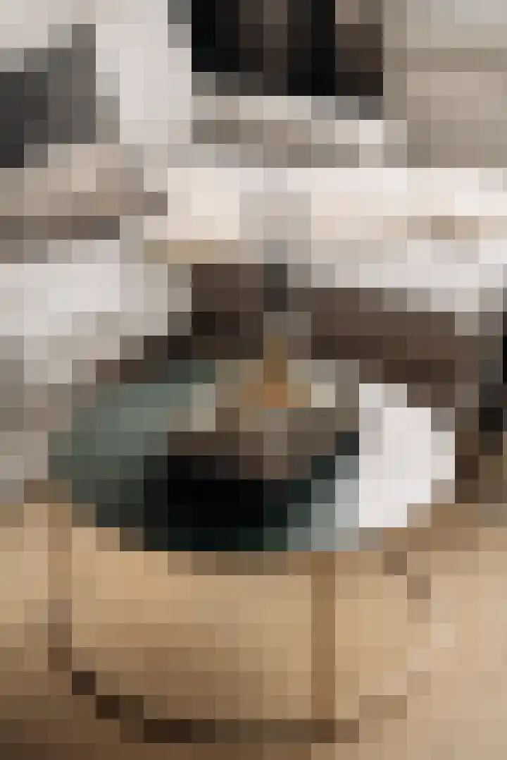 Boeroestraat 16 Amsterdam thumbnail 4