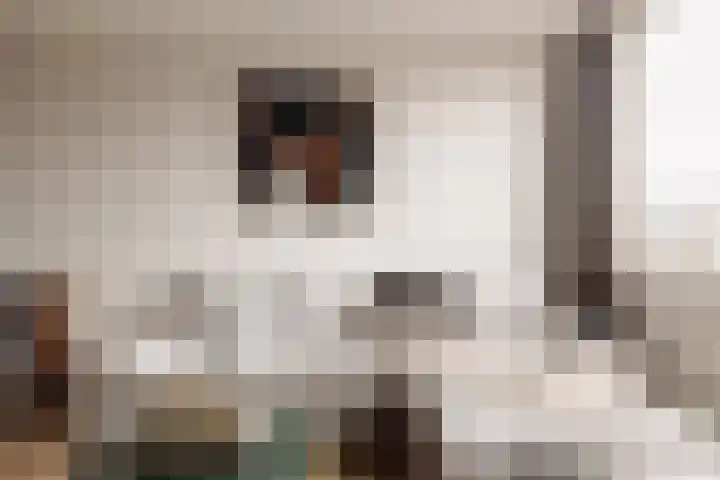 Boeroestraat 16 Amsterdam thumbnail 5