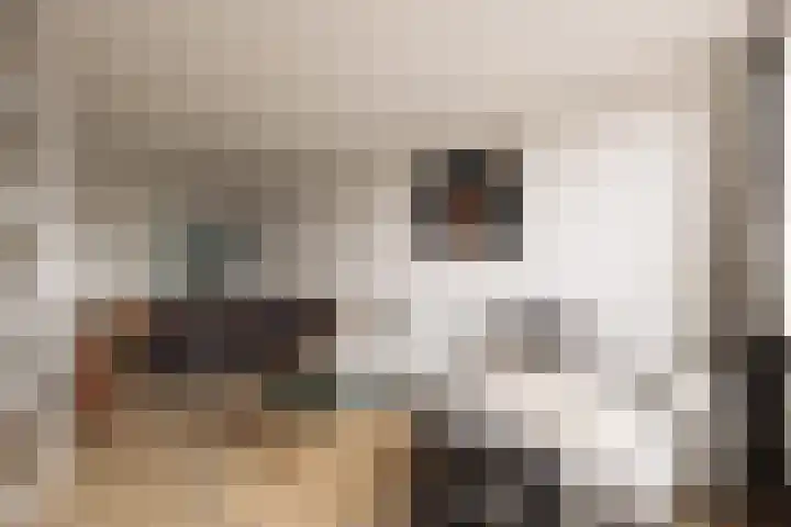 Boeroestraat 16 Amsterdam thumbnail 6