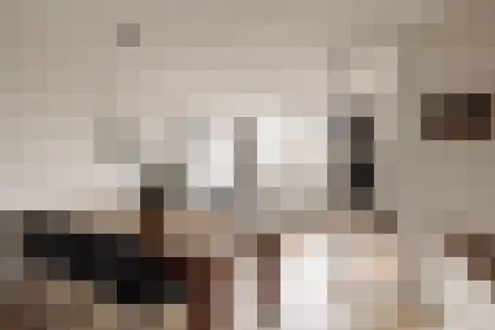 Boeroestraat 16 Amsterdam thumbnail 7