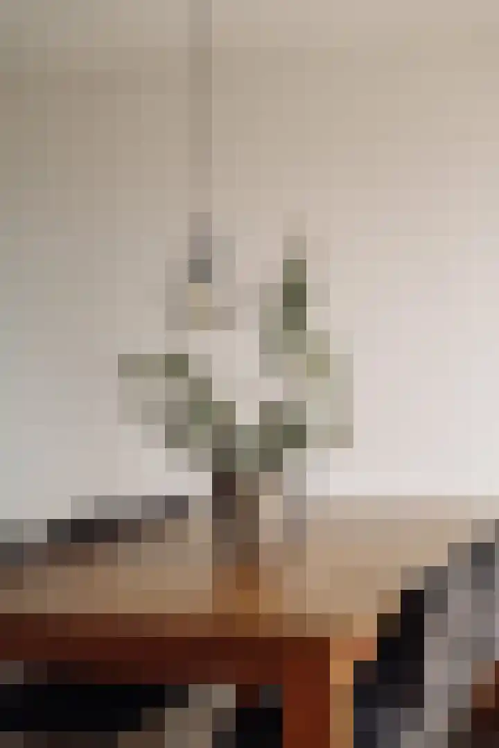 Boeroestraat 16 Amsterdam thumbnail 8