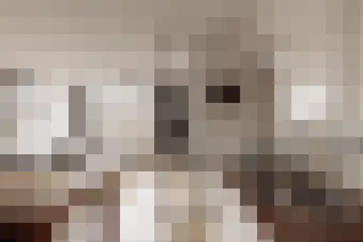 Boeroestraat 16 Amsterdam thumbnail 9