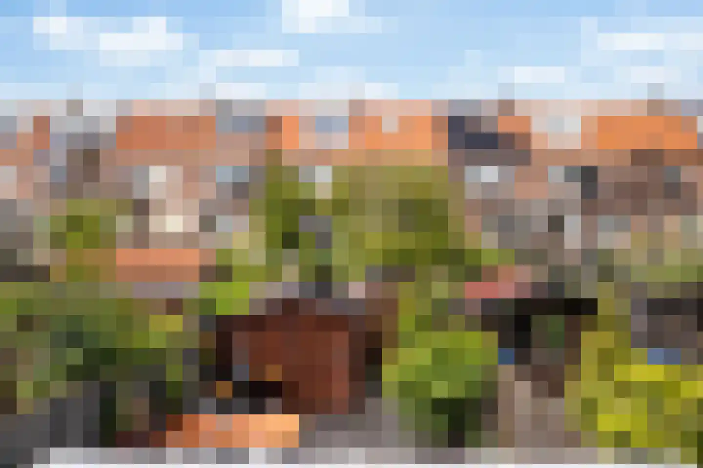 Boeroestraat 17 Dordrecht thumbnail 14