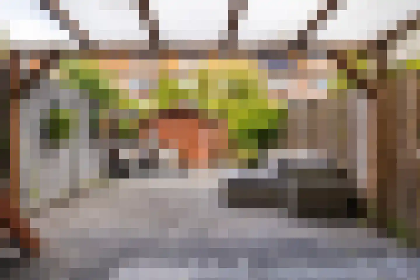Boeroestraat 17 Dordrecht thumbnail 27
