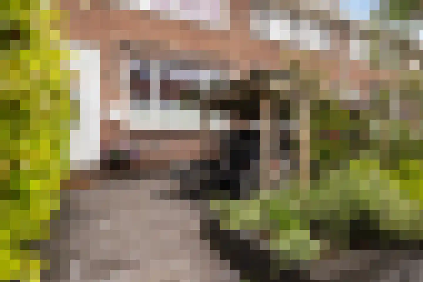 Boeroestraat 17 Dordrecht thumbnail 32