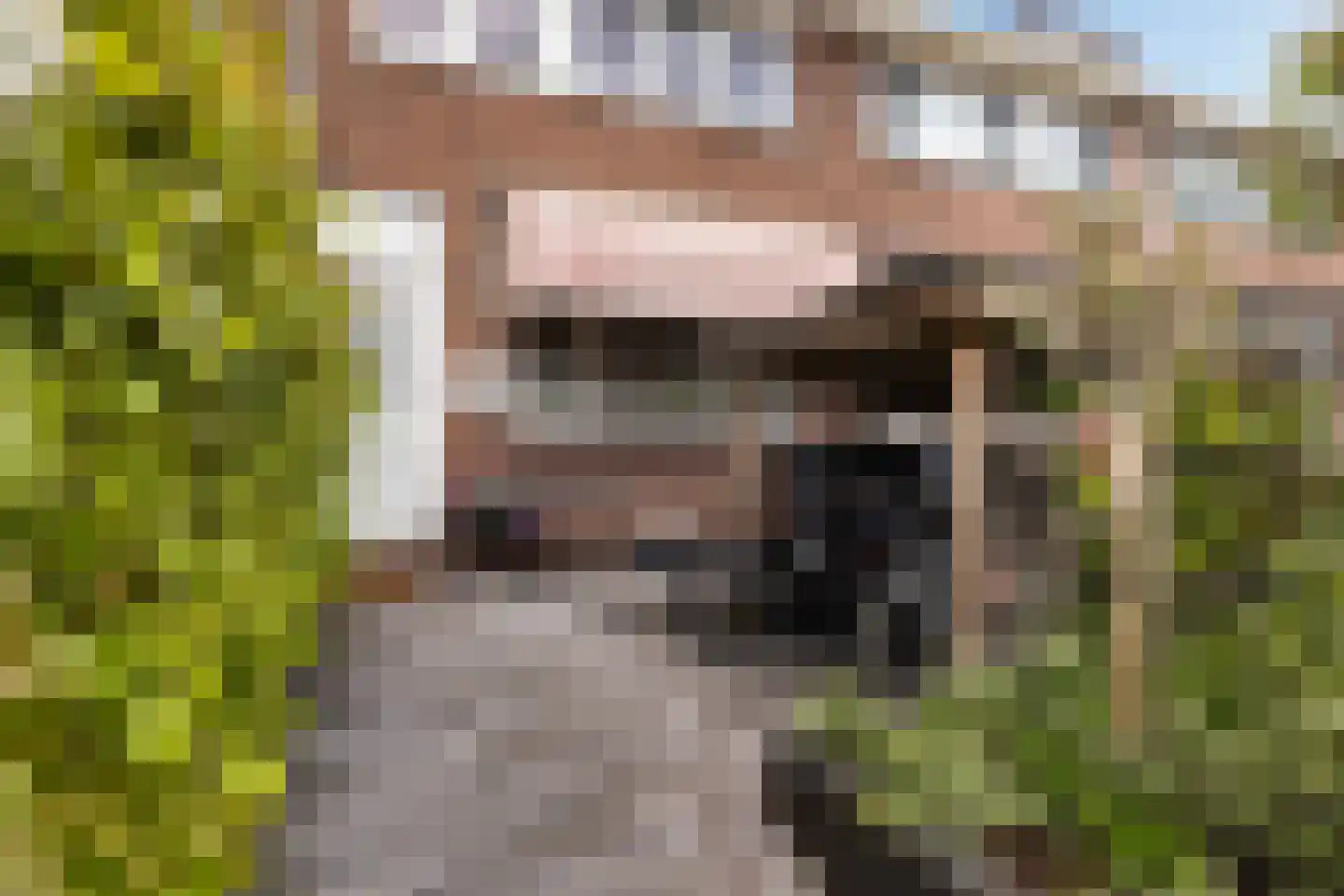Boeroestraat 17 Dordrecht thumbnail 33