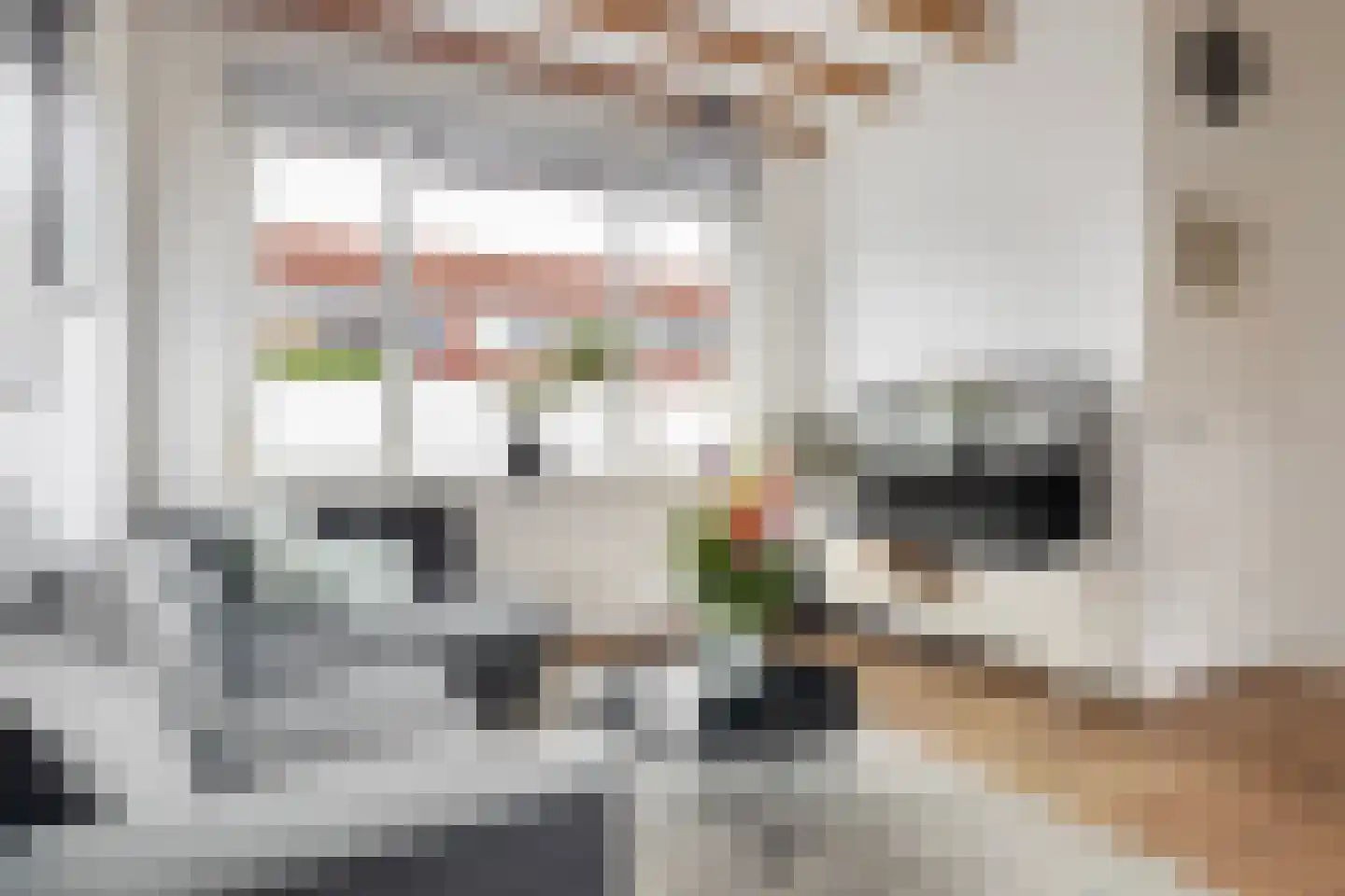 Boeroestraat 17 Dordrecht thumbnail 7