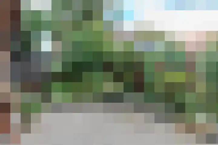 Boeroestraat 23 Wormerveer thumbnail 12