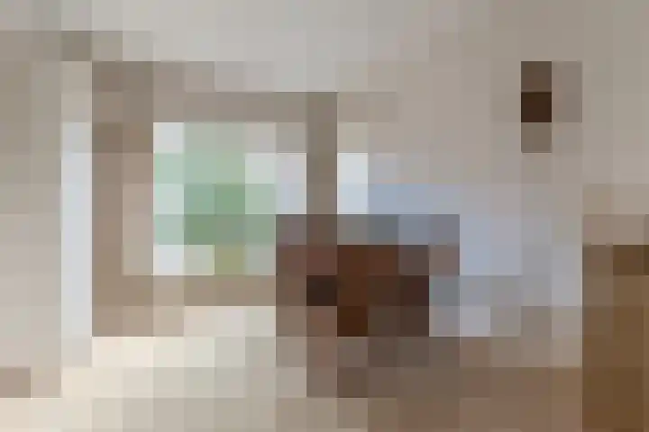 Boeroestraat 23 Wormerveer thumbnail 5