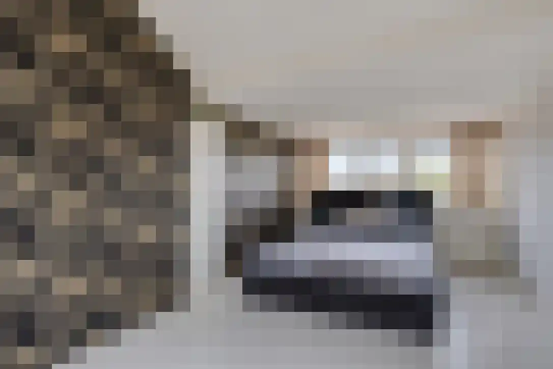 Boeroestraat 24 Wormerveer thumbnail 19