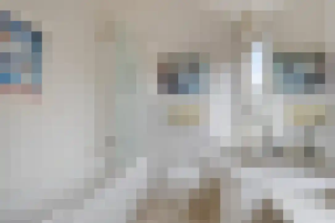 Boeroestraat 24 Wormerveer thumbnail 20