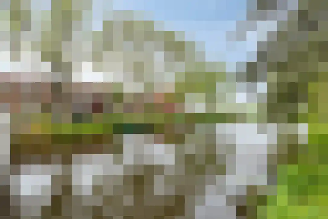 Boeroestraat 24 Wormerveer thumbnail 23