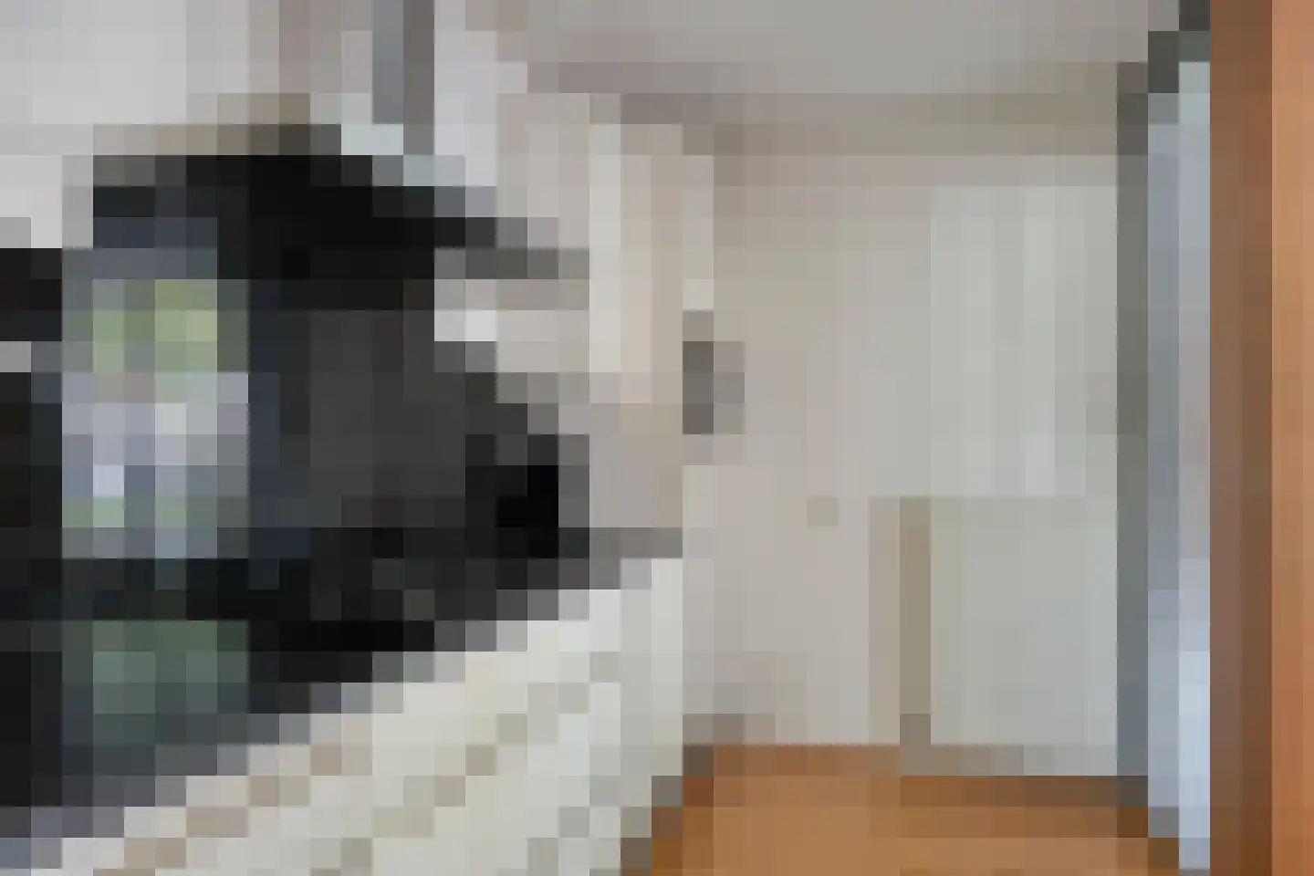 Boeroestraat 3 Delft thumbnail 21