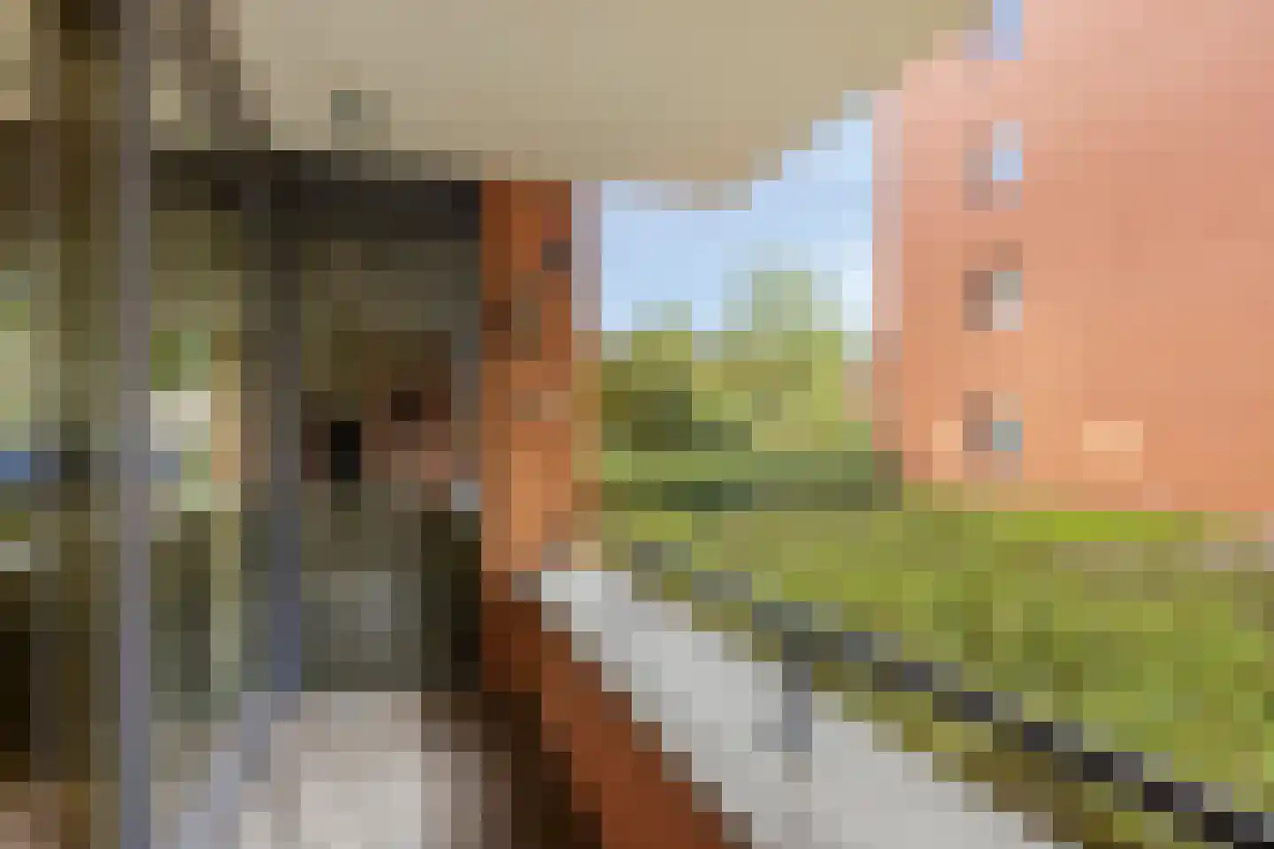 Boeroestraat 3 Delft thumbnail 24