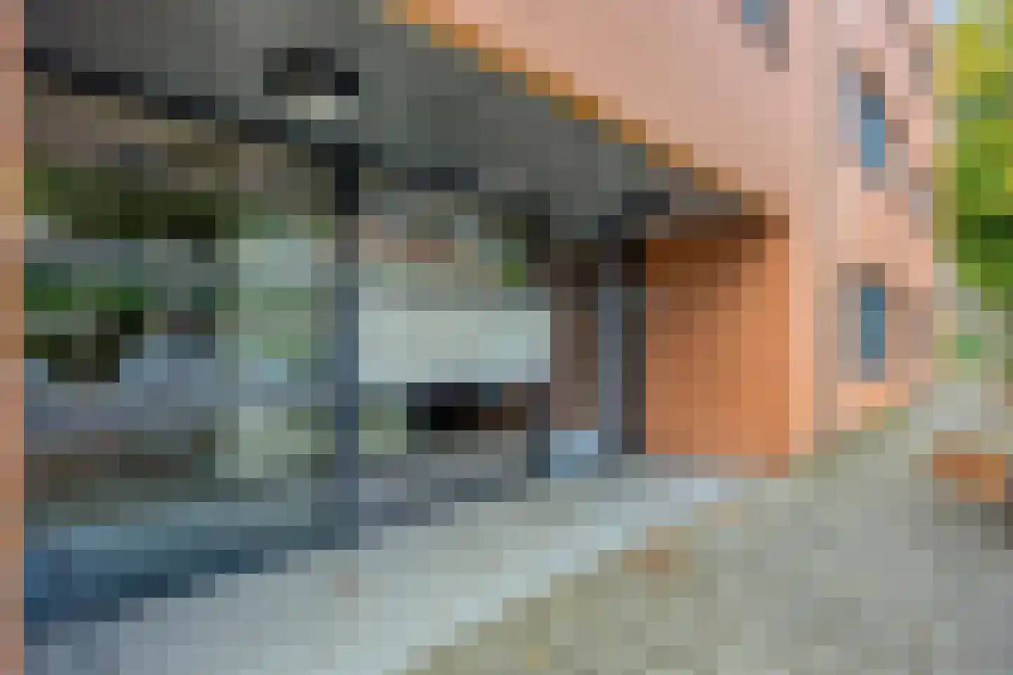 Boeroestraat 3 Delft thumbnail 6