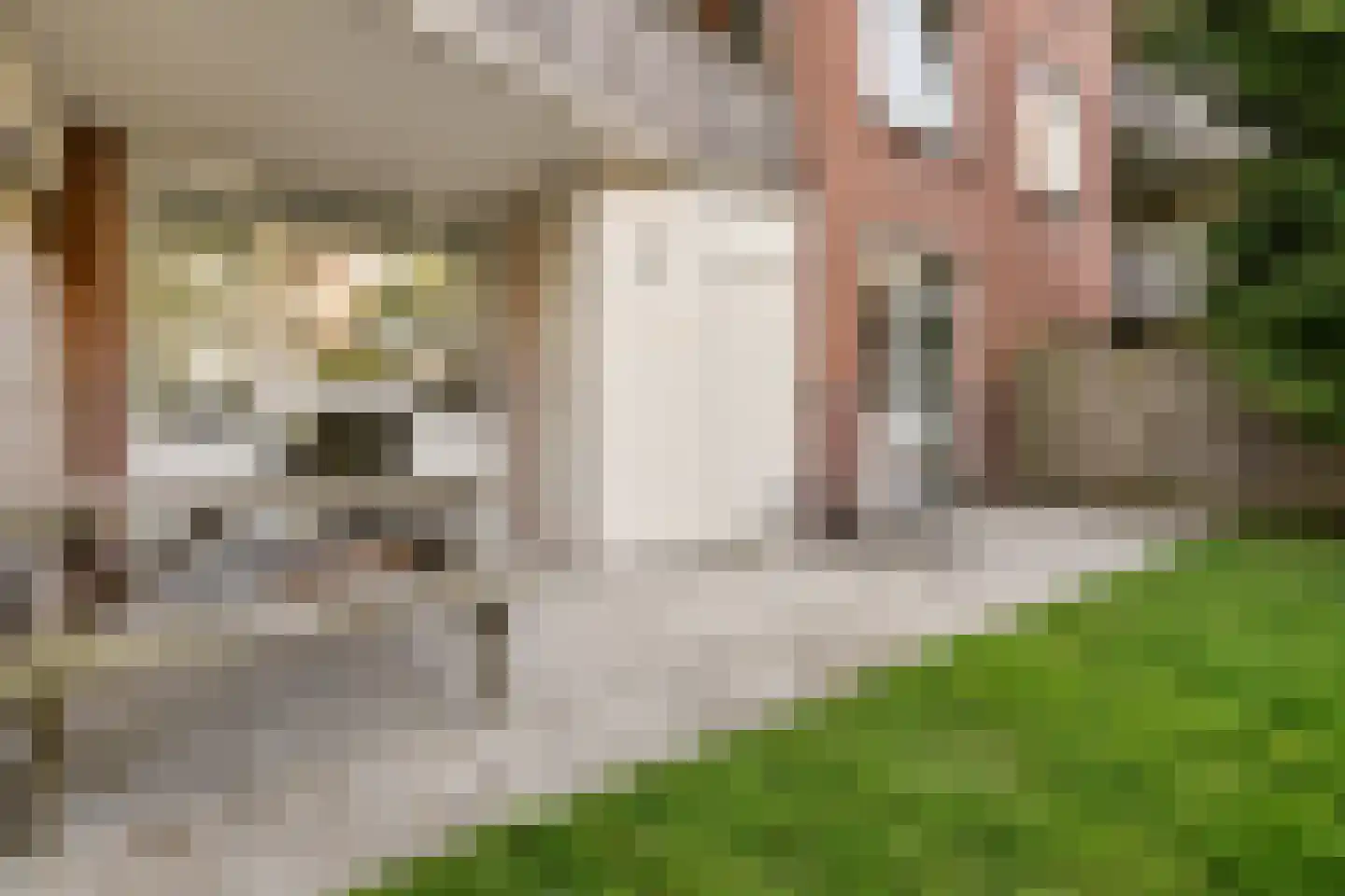 Boeroestraat 35 Amsterdam thumbnail 12