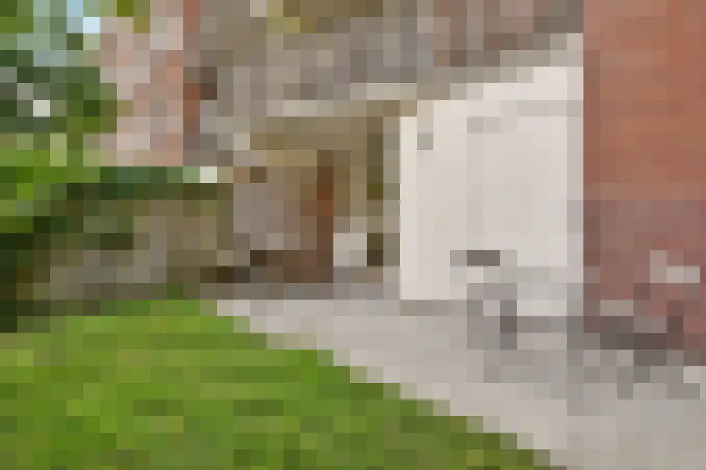 Boeroestraat 35 Amsterdam thumbnail 13