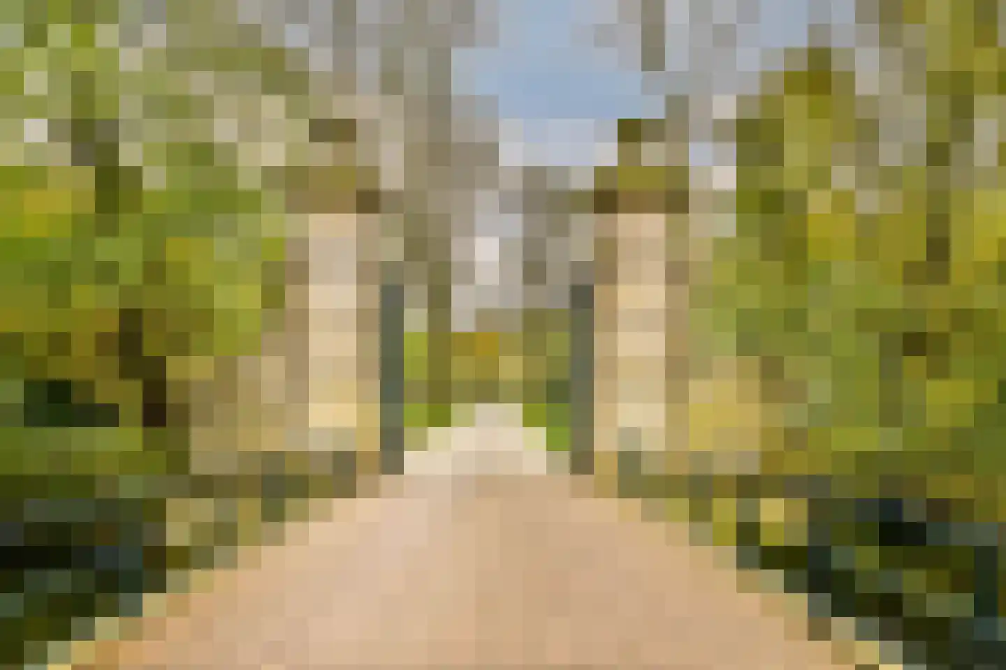 Boeroestraat 35 Amsterdam thumbnail 25
