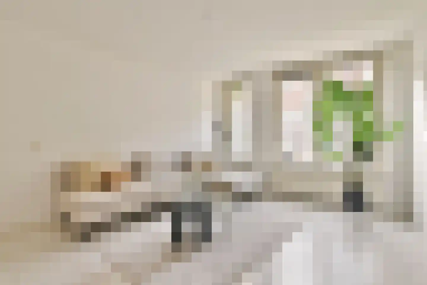 Boeroestraat 35 Amsterdam thumbnail 6