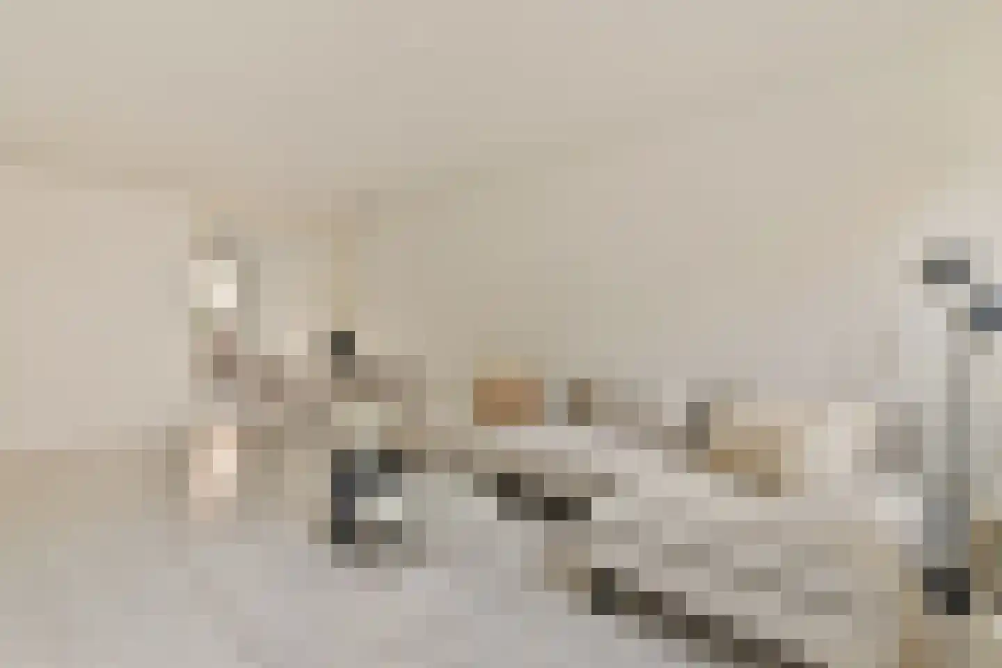 Boeroestraat 35 Amsterdam thumbnail 8