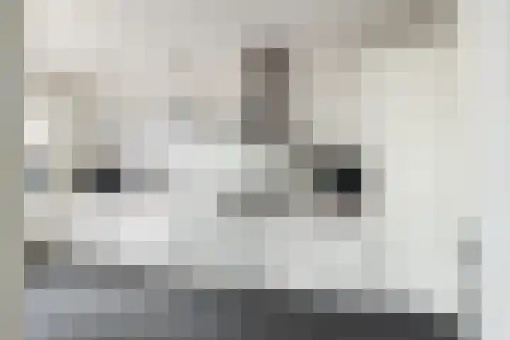 Boeroestraat 4 Wormerveer thumbnail 12