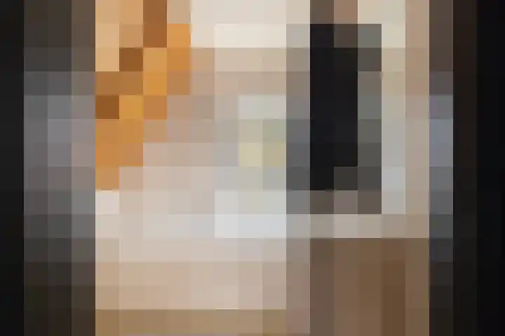 Boeroestraat 4 Wormerveer thumbnail 21