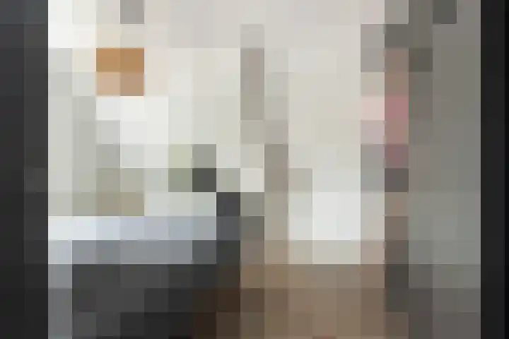Boeroestraat 4 Wormerveer thumbnail 22