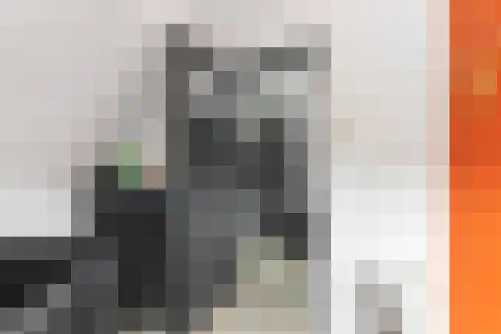 Boeroestraat 4 Wormerveer thumbnail 26