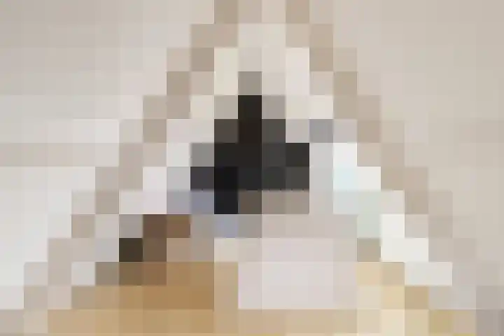Boeroestraat 4 Wormerveer thumbnail 30