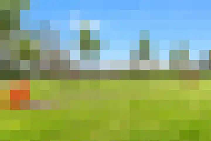 Boeroestraat 4 Wormerveer thumbnail 31