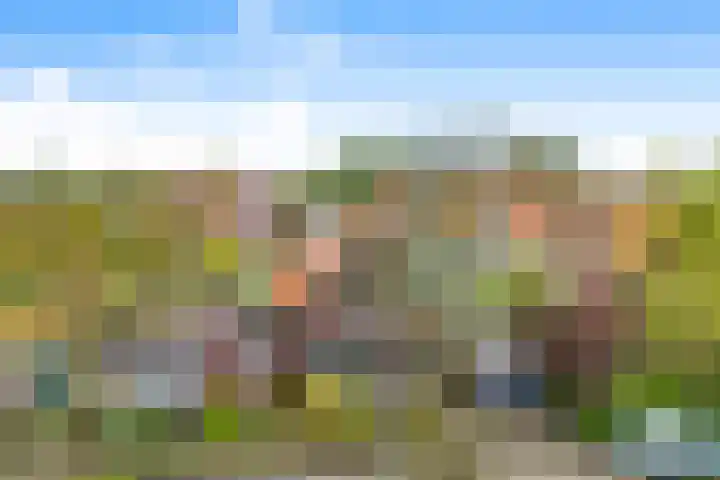 Boeroestraat 4 Wormerveer thumbnail 5