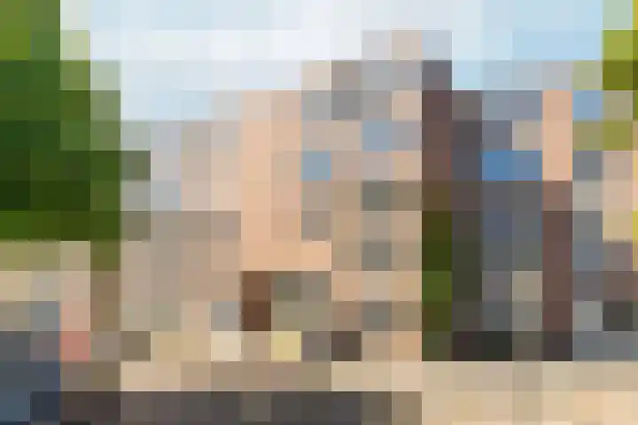 Boeroestraat 40 Amsterdam thumbnail 33