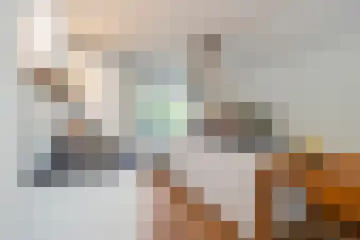 Boeroestraat 48 Amsterdam thumbnail 10