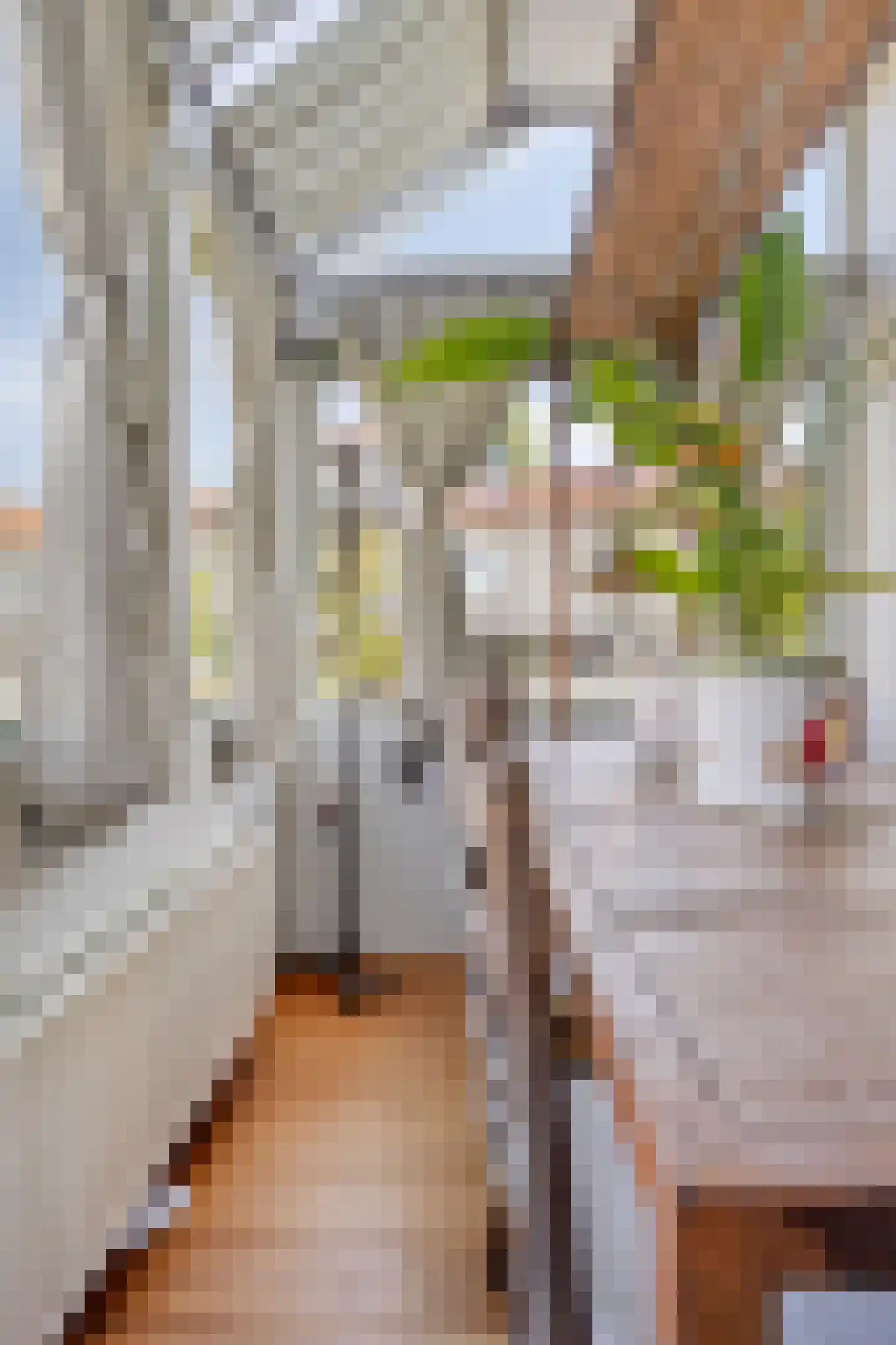Boeroestraat 5 Dordrecht thumbnail 10