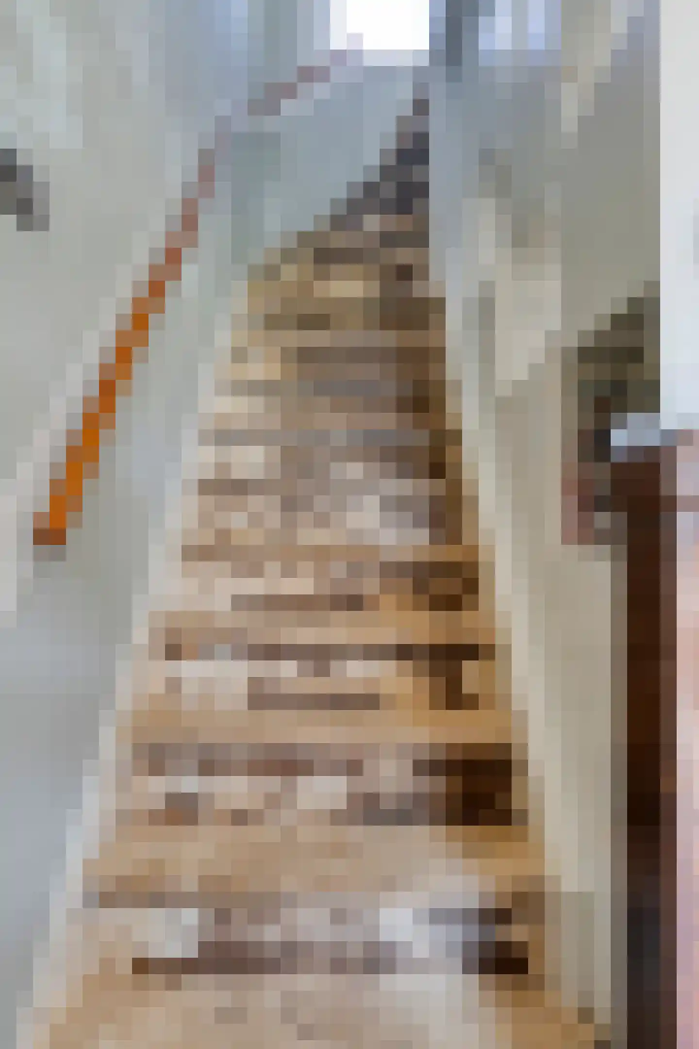 Boeroestraat 5 Dordrecht thumbnail 11
