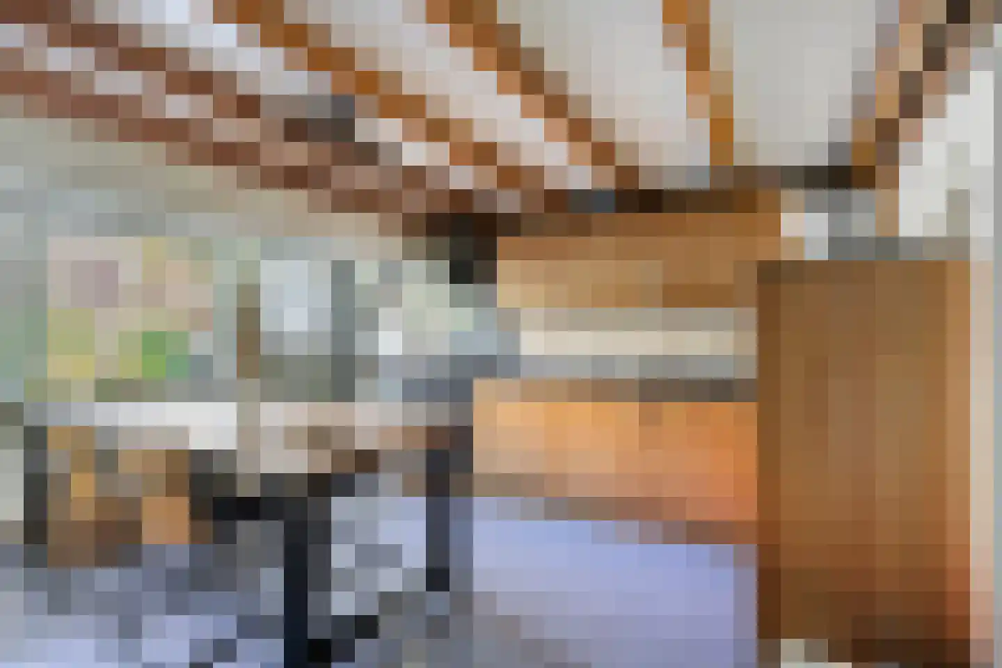 Boeroestraat 5 Dordrecht thumbnail 37