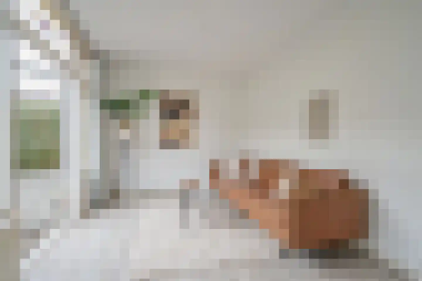 Boeroestraat 56 Delft thumbnail 12