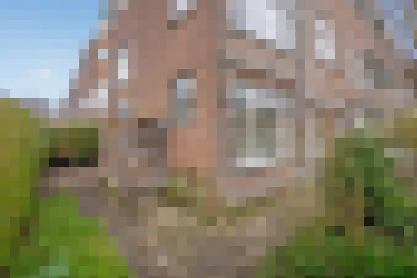Boeroestraat 56 Delft thumbnail 16